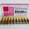 Biocam, Piroxicam