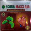 Eco Maxx Q10, Ginkgo Biloba