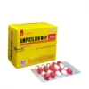 Ampicillin