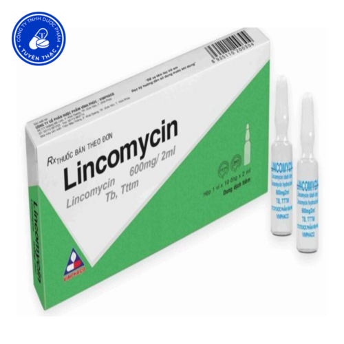 Lincomycin